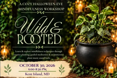 Wild & Rooted