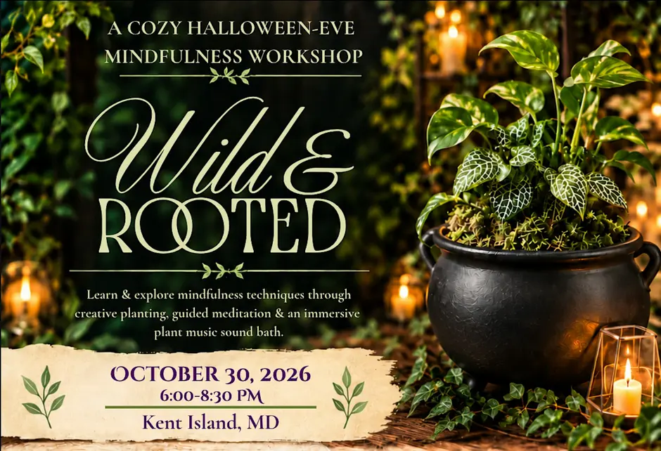 Wild & Rooted